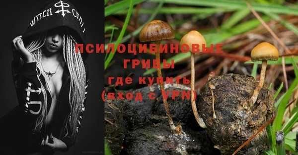 ALPHA-PVP Алексин