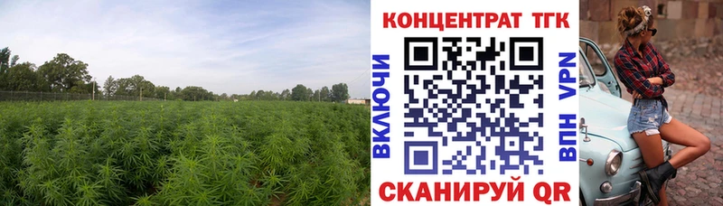 блэк спрут tor  Полевской  ТГК жижа  купить наркотики цена 